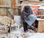 Астраханские пенсионеры сшили коврики для бездомных собак