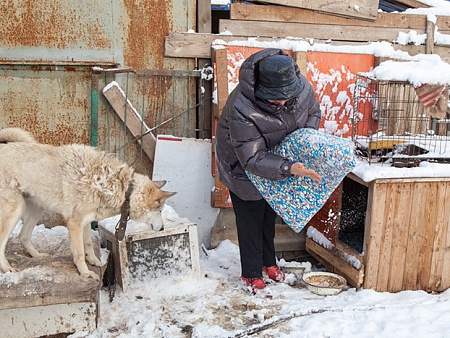 Астраханские пенсионеры сшили коврики для бездомных собак