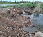 Стало известно, кто возместит ущерб от замора рыбы под Астраханью