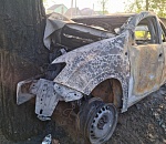 На Аэропортовском проезде машина врезалась в дерево и полностью сгорела: видео