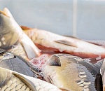 В субботу в Астрахани пройдет первая в этом году ярмарка