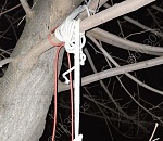 В спальном микрорайоне Астрахани нашли повешенную на дереве девушку