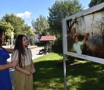 В Астрахани в Братском саду открылась фотовыставка
