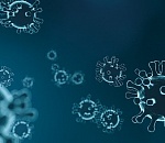 За сутки коронавирус обнаружен у 593 астраханцев