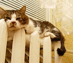 Почему отопительный сезон не начался 15 октября?