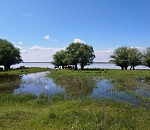 То мокро, то жарко: июль в Астраханской области будет нетипичным
