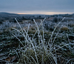 Астраханцам советуют подготовиться к ночным заморозкам и шквалистому ветру