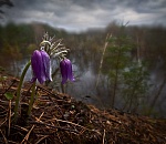 Завтра в Астрахани снова ветрено, возможен дождь
