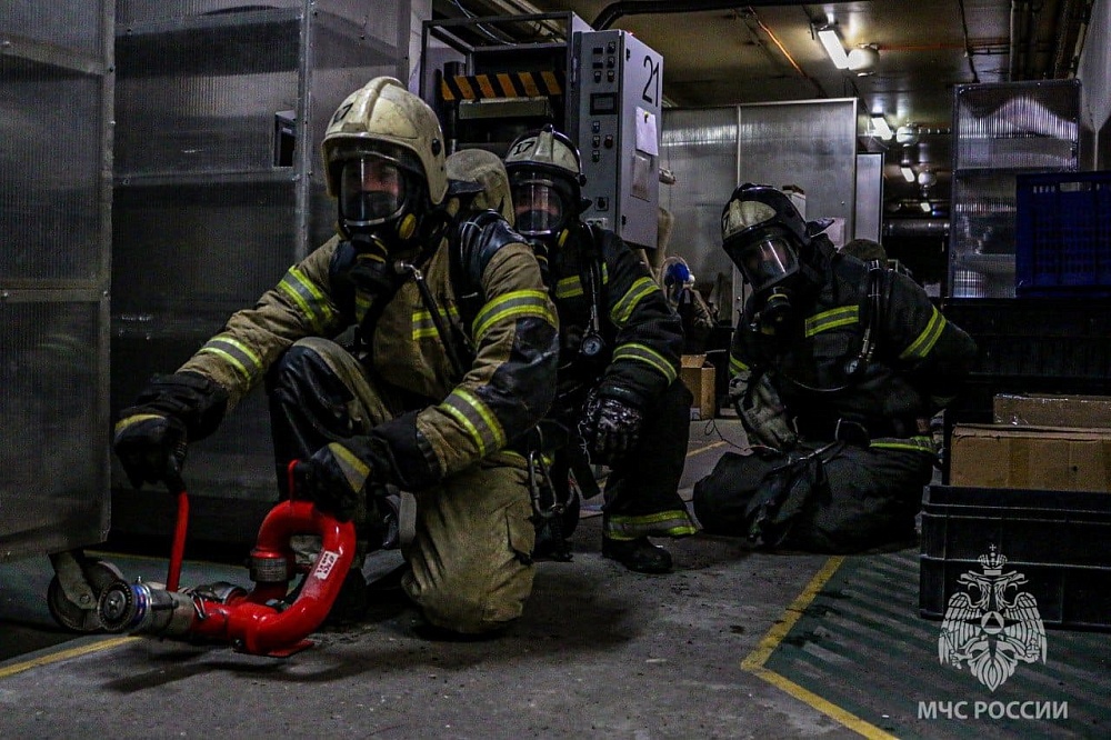 Глава МЧС РФ предложил провести в Астрахани учения со странами Прикаспия 