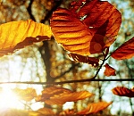 Самое теплое и самое холодное 31 октября в истории Астрахани