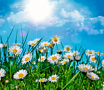 В ближайшую неделю астраханцам можно не опасаться адского пекла