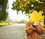 Понедельник в Астрахани будет прохладным и, возможно, дождливым