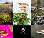 Записки астраханского натуралиста. Лучшие выпуски уходящего года