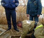 Астраханские полицейские спасли  бездомную собаку, упавшую в колодец