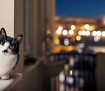 Астраханцам обещают минусовую температуру