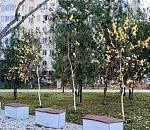 Завтра в Астраханской области погода скопирует субботу – разве что тепло отдаст пару градусов