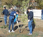 В Астрахани у обелиска погибшим воинам высадили деревья