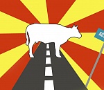 Появятся ли на астраханских дорогах коровы с катафотами?