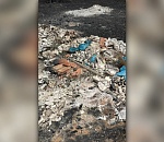 В Астрахани нашли свалку, ущерб от которой оценили в 14 миллионов рублей