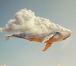 Астраханскую рыбу научили телепортироваться