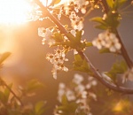 Какой погодой удивит астраханцев последний день марта