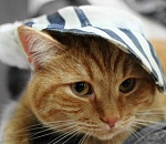 В Астраханской области снова объявлено штормовое предупреждение по жаре