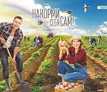 Астраханцам снова предлагают накормить самих себя