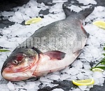 Осторожнее, хлорамфеникол! Астраханцев предупреждают об опасности в рыбе