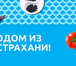 Астраханцев приглашают на бесплатную дегустацию арбузов
