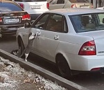 В Астрахани сняли на видео «банду» котов-автоворов