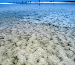 «Руссоль» судится с заповедником за Баскунчак