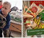 Четвероногим беженцам из Мариуполя нужна помощь