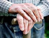 Правительство изучает вопрос повышения пенсионного возраста - глава ПФР