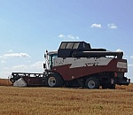 В Астраханской области картофельный инвест-проект в нынешнем сезоне намерен собрать свыше 50 000 тонн продукции