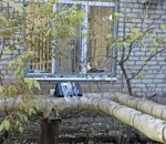 В Астрахани у здания мирового суда обнаружили "взрывное устройство"