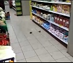 Астраханец снял на видео птиц, летающих над едой в супермаркете (ВИДЕО)