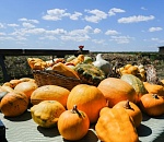 В Астраханской области появится новый вид туризма