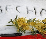 Синоптики обещают астраханцам то ли снег, то ли дождь