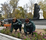 В Астрахани идут активные посадки