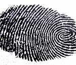 В Астрахани отпечатки пальцев помогли задержать домушника 