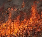 Осторожно, может быть запашок. Под Астраханью начался сильный пожар