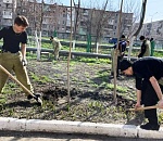 В Астрахани на третьей неделе «Дней чистоты» прошел «Этно-субботник»