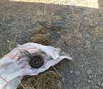 Под Астраханью полиция задержала двух браконьеров: мужчины успели поймать всего одного осетра