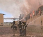 Астраханский минсельхоз рассказал о последствиях пожара на птицефабрике