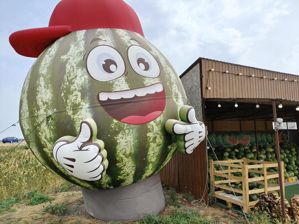 Астраханские эксперты развенчали мифы об арбузах