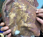 Астраханских археологов поразила собственная находка