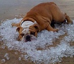 В пятницу астраханцам обещают огнеопасную жару