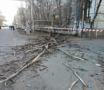 В Астрахани скончался в больнице один из пострадавших от падения дерева на улице Звездная