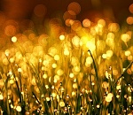 Завтра погода преподнесет для астраханцев небольшие сюрпризы