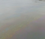 Загрязнение Золотого затона в Астрахани оценили почти в 1 миллион рублей